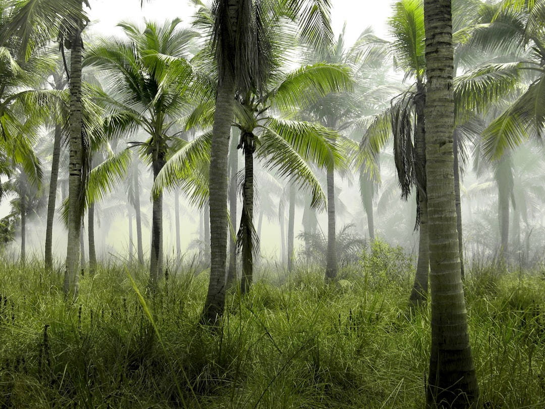 nature eco products