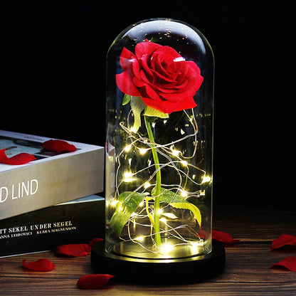 Eternal Rose Love With Lights